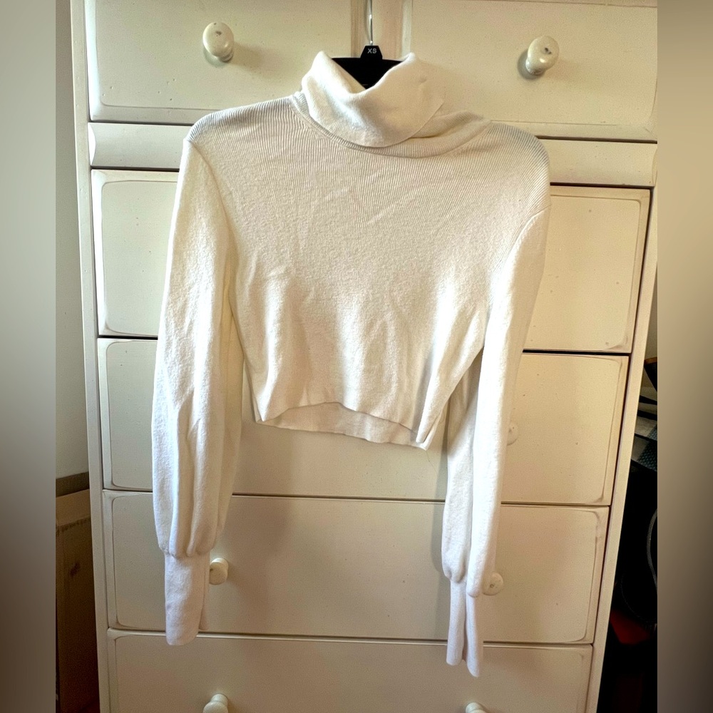 Aritizia Wilfred Cropped Turtle Neck